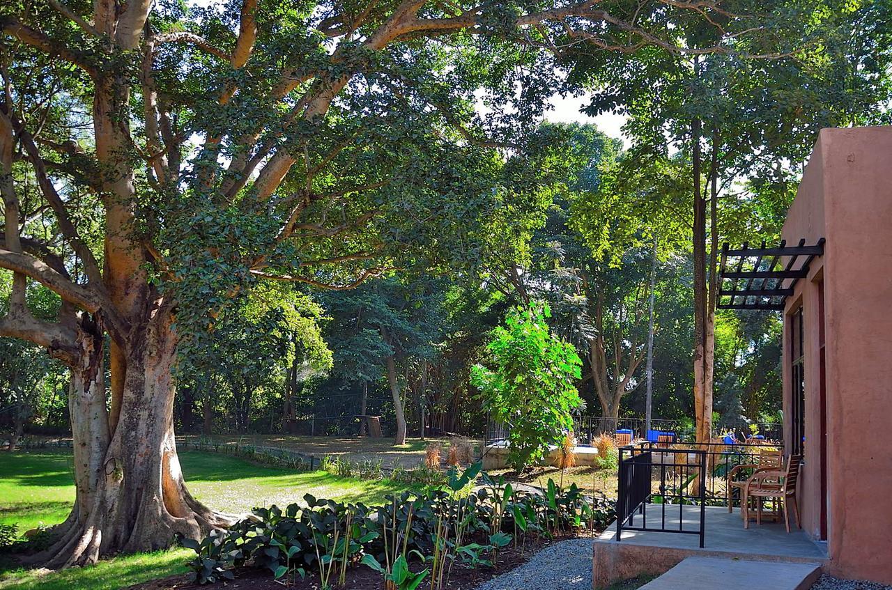 Hotel Green Hills Of Africa Usa River Exterior foto